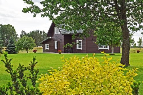 a house on a green lawn with a tree at Sodyba Puodžių Kaimas in Mackėnai