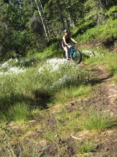 Tetamu yang menginap di Starflower of Ylläs