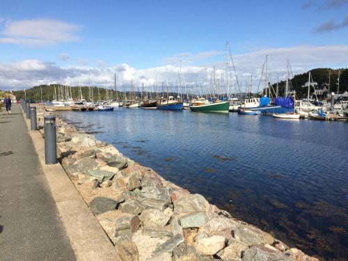 a marina with many boats in the water at Starfish Rooms in Tarbert