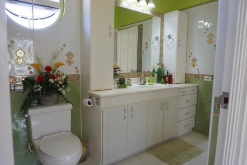 a bathroom with a toilet and a sink and a mirror at Spectacular Ocean View Retreat in Saint James