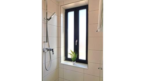 a bathroom with a shower with a window and a potted plant at Ostsee Perle 35 in Heiligenhafen