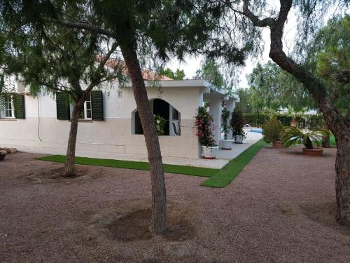 a white house with trees in front of it at Chalet Bacarot in Alicante