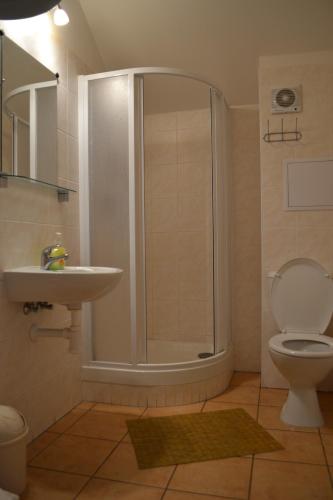 a bathroom with a shower and a toilet and a sink at Orbit Karlov pod Pradědem in Malá Morávka