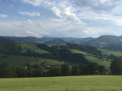a green field with mountains in the background at Ferienwohnungen Kössl in Waidhofen an der Ybbs