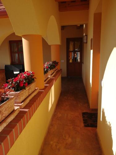 a hallway of a house with flowers on the walls at Vitis Vendégház in Becsehely