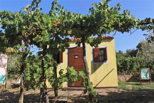 Κήπος έξω από το Glamping Green Istria Tiny Houses