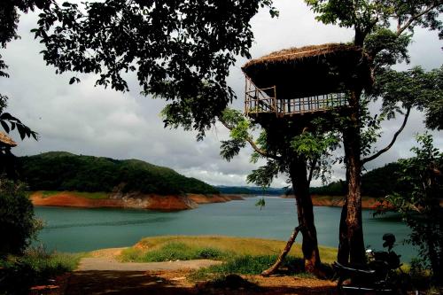 a tree house in a tree next to a river at Skyrock Inn in Kattappana
