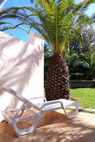 a white lounge chair sitting next to a palm tree at Hotel Olmuccio in Sainte-Lucie de Porto-Vecchio