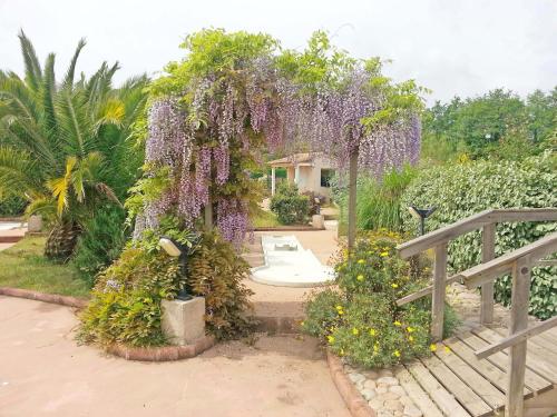 a garden with a bunch of purple flowers at Hotel Olmuccio in Sainte-Lucie de Porto-Vecchio