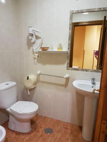 a bathroom with a toilet and a sink and a mirror at Hostal los nogales in Cangas del Narcea