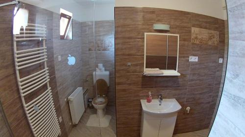 エゲルサロークにあるVilla Irisのバスルーム(洗面台、トイレ、鏡付)