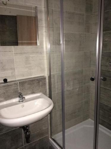 a bathroom with a sink and a glass shower at Penzion Podyjí in Znojmo