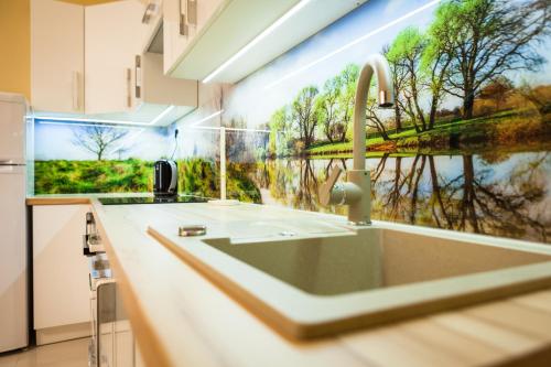 a kitchen with a sink with a painting on the wall at Czar Garbar in Poznań