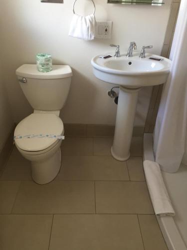 a bathroom with a toilet and a sink at El Rancho Motel in Williams