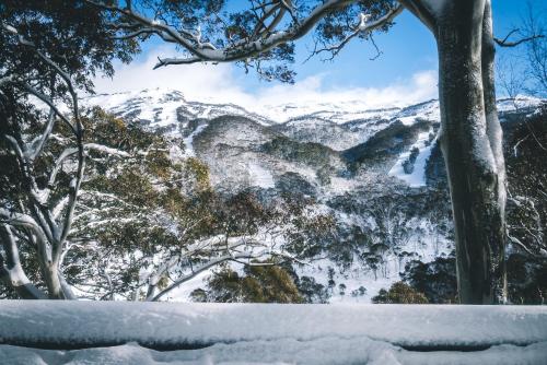 a view of a snow covered mountain with trees at Pure Chalet Thredbo in Thredbo