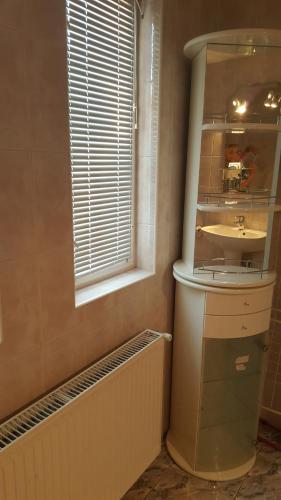 La salle de bains est pourvue d'un lavabo et d'une fenêtre. dans l'établissement Casa Cristina, à Sovata