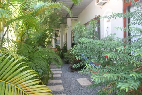 a garden with palm trees and plants in front of a building at Mui Ne Garden Hotel and Kite School in Mui Ne