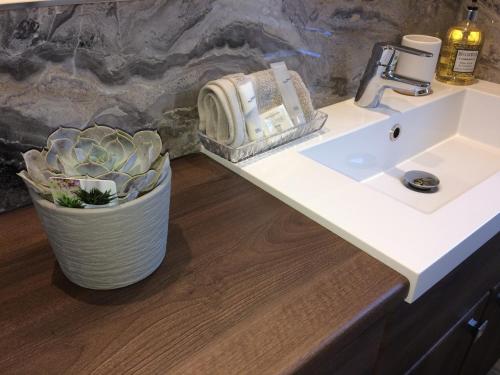 a bathroom with a sink and a potted plant at Apartment 101 Kingsmills Road in Inverness