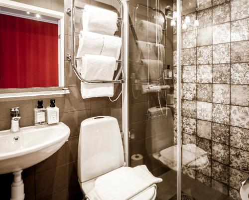 uma casa de banho com um WC, um lavatório e um chuveiro em Lilla Rådmannen em Estocolmo