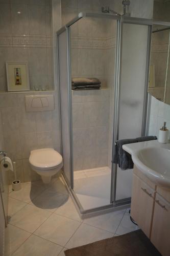 a bathroom with a shower and a toilet and a sink at Kleine Stuga in Windfuß