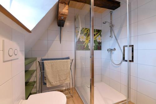 bagno con doccia e servizi igienici. di Les colombages d'a cote a Stetten