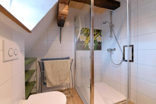 a bathroom with a shower and a toilet at Les colombages d'a cote in Stetten