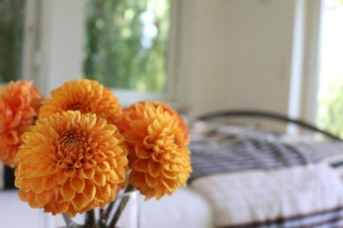 a group of orange flowers in a vase next to a bed at Ferienwohnung Amperblick Fürstenfeldbruck in Fürstenfeldbruck