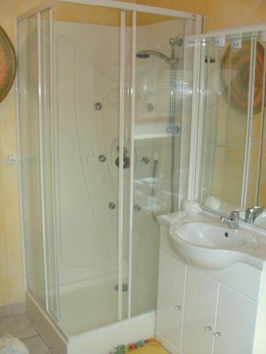 uma casa de banho com um chuveiro e um lavatório. em Chambres d'hôtes Sébastien em Ruaudin