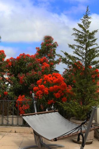 a hammock in front of a tree with red flowers at Cosy Sintra in Sintra