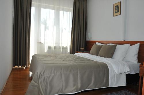 Voodi või voodid majutusasutuse Hotel Terex toas