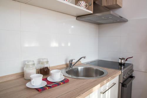 Kuchyň nebo kuchyňský kout v ubytování Apartment Rosa