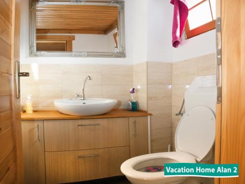 a bathroom with a sink and a toilet at Vacation home Alan 2 in Kulen Vakuf