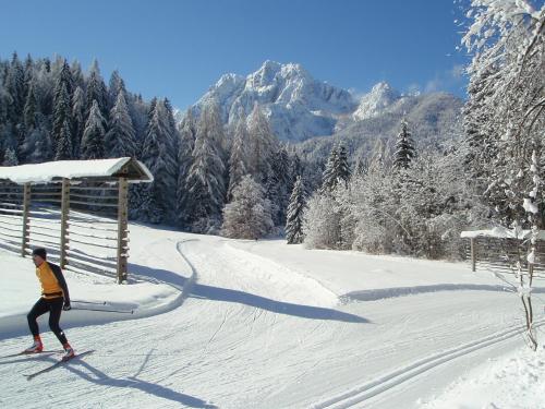 a person is skiing down a snow covered slope at TEMPFER 2 Apartments & Rooms with new WELLNESS in Kranjska Gora