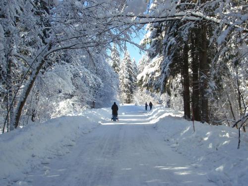 a person walking down a snow covered road at TEMPFER 2 Apartments & Rooms with new WELLNESS in Kranjska Gora