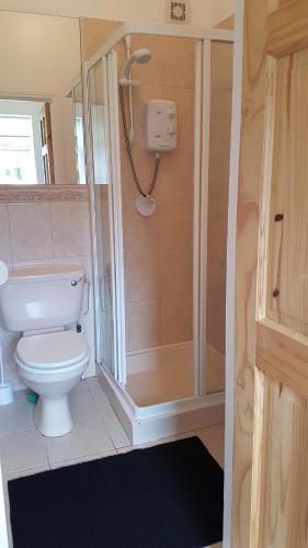 a bathroom with a toilet and a shower at Hilltop Seaview Apartment in Wicklow
