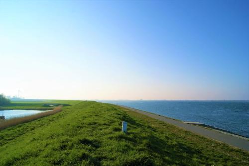 a grassy field next to a body of water at gezellige cottage in zeeland in Sint Annaland