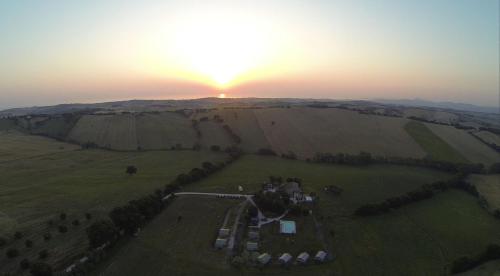 an aerial view of a field with the sunset in the background at Tenuta Tredici Ulivi in Senigallia