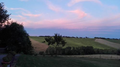 a view of a field with a tree on a hill at Tenuta Tredici Ulivi in Senigallia
