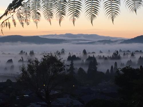 a misty valley with trees in the distance with a sunset at KARANDA BnB in Rotorua