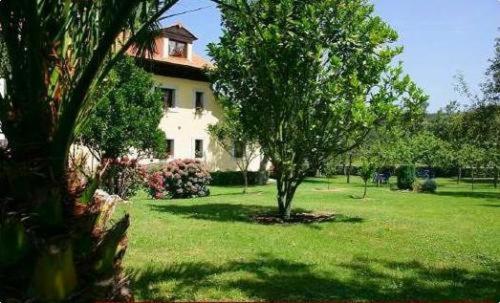 a house with a tree in the middle of a yard at Casa de Aldea El Frade in Ribadesella