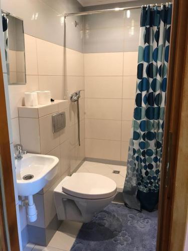 a bathroom with a toilet and a sink at Malinowy Domek in Młyńczyska