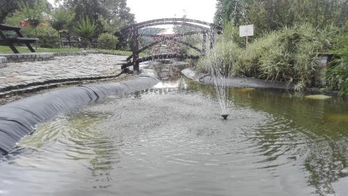 a water fountain in a pond in a park at Chata nad Sztolnią in Bystrzyca Górna