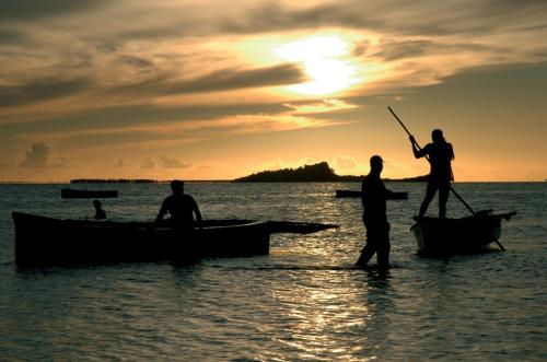 Gallery image of Cocotiers Hotel - Rodrigues in Rodrigues Island