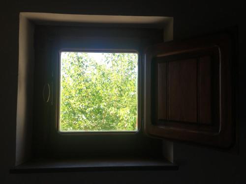 a window in a room with a tree outside at Casale degli ulivi in Gualdo Tadino