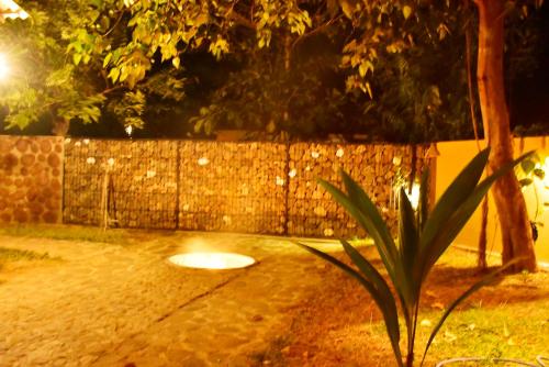 a night view of a stone wall with a frisbee at Lizard Safari Lodge in Udawalawe