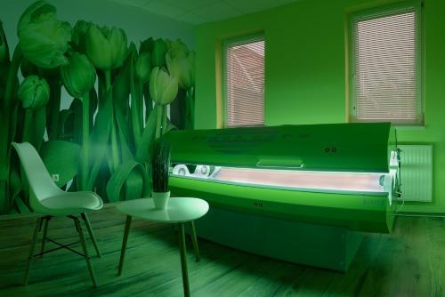a room with a green wall with a table and a chair at Erzsébet Park Hotel in Parád
