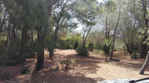 Un paisaje natural cerca de la casa vacacional