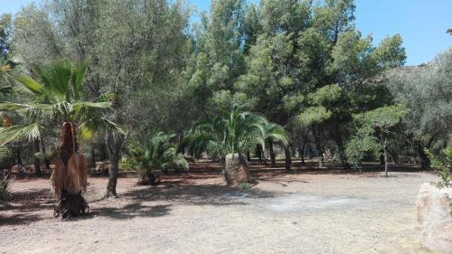Un jardín fuera de Chia Zeffiro