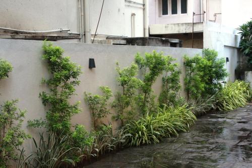 a wall with plants on it next to a street at Pebbles in Chennai