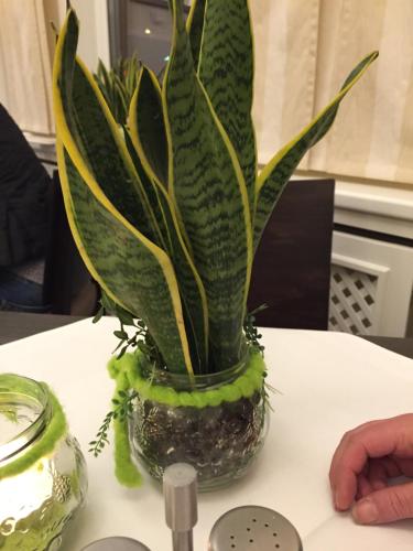 a potted plant sitting on top of a table at Tutzinger Hof in Tutzing